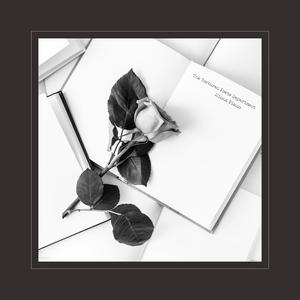 Rox和小毛蛋婚礼
