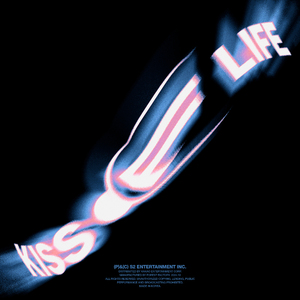 Rox和小毛蛋婚礼
